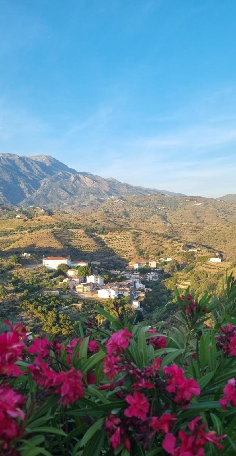 La Vista Vinuela Bed & Breakfast Exterior photo